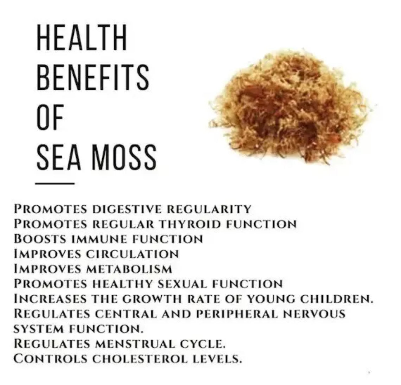 Chondrus Dr Sebi Sea Moss High Mineral Content Real Wildcrafted Sea Moss from the rocks- Gold