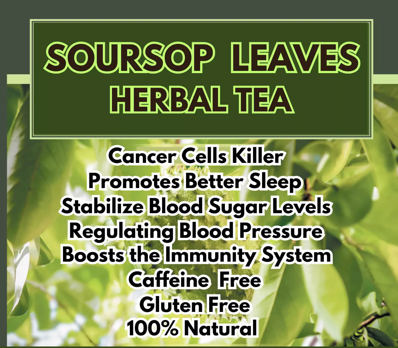 Bulk- Organic Soursop dried leaves Bulk Guanabana leaves tea hundreds to thousands of leaves