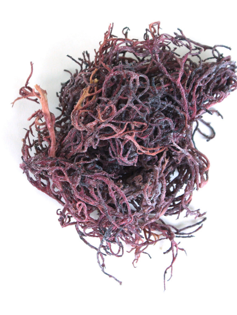 Rare Purple Wildcrafted Sea Moss- Limited!!!