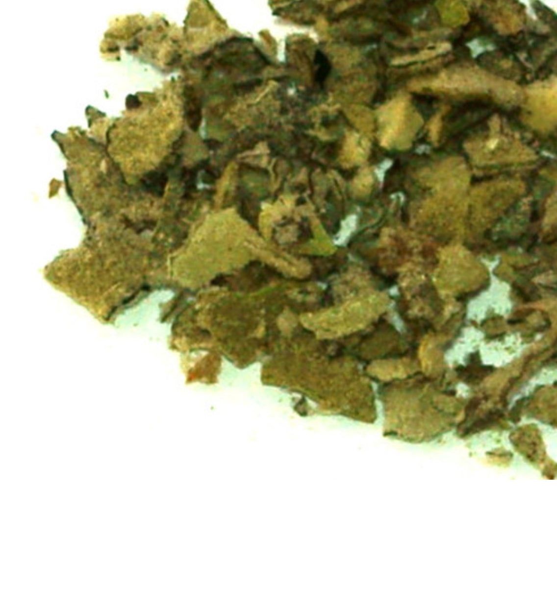 Organic Mullein Herb Dried Bulk Tea