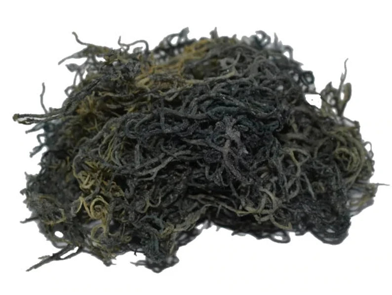 Rare Green Wildcrafted Sea Moss- Limited!!!