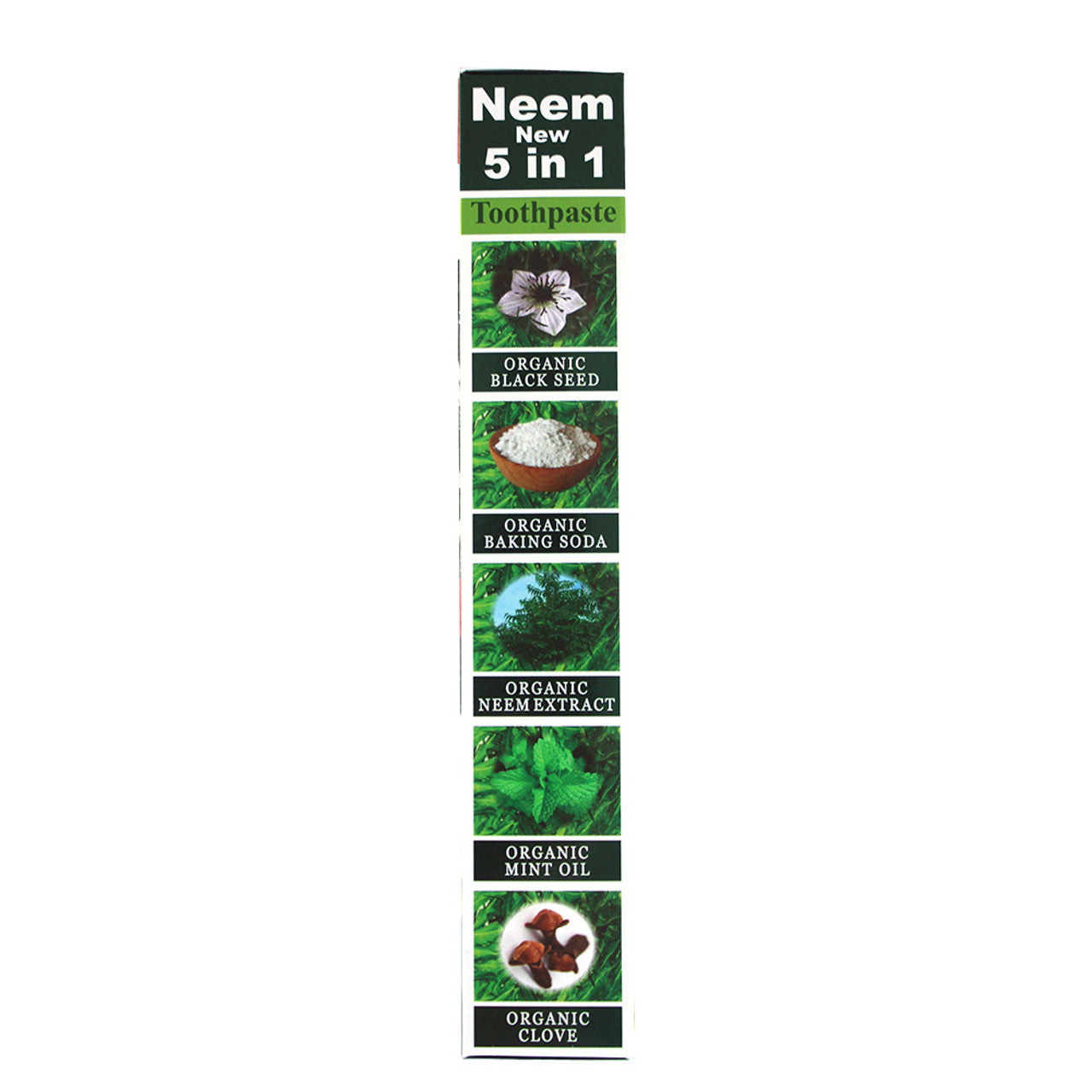 Neem toothpaste