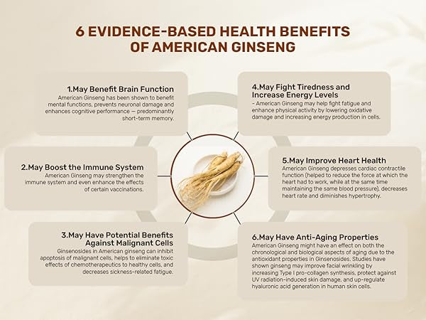 American Ginseng root powder- Eleuthro