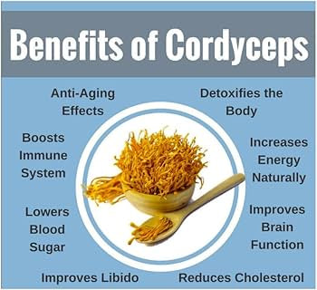 Cordyceps Mushroom Powder (Cordyceps sinensis)