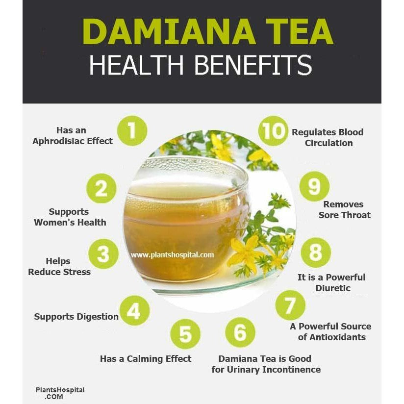 Organic Damiana Herb Dried Bulk Tea