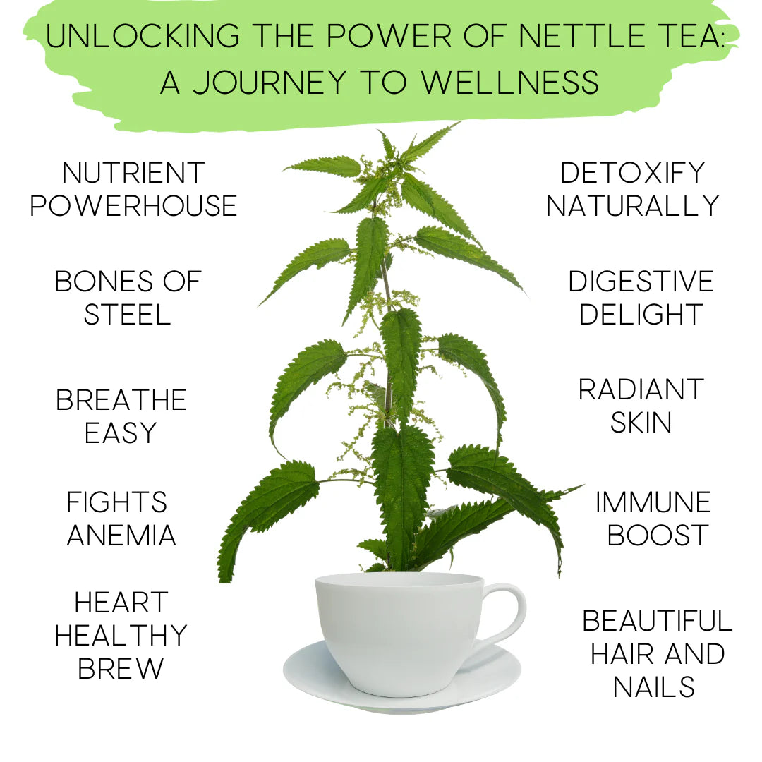 Organic Nettle Herb Dried Bulk Tea