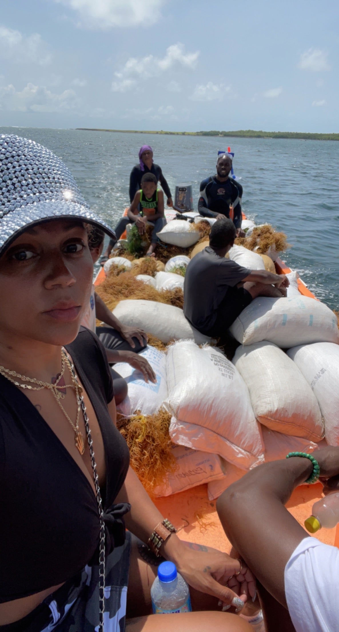 Wildcrafted Sea Moss from the pristine waters of St. Lucia